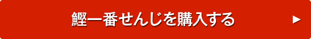 鰹一番せんじを購入する